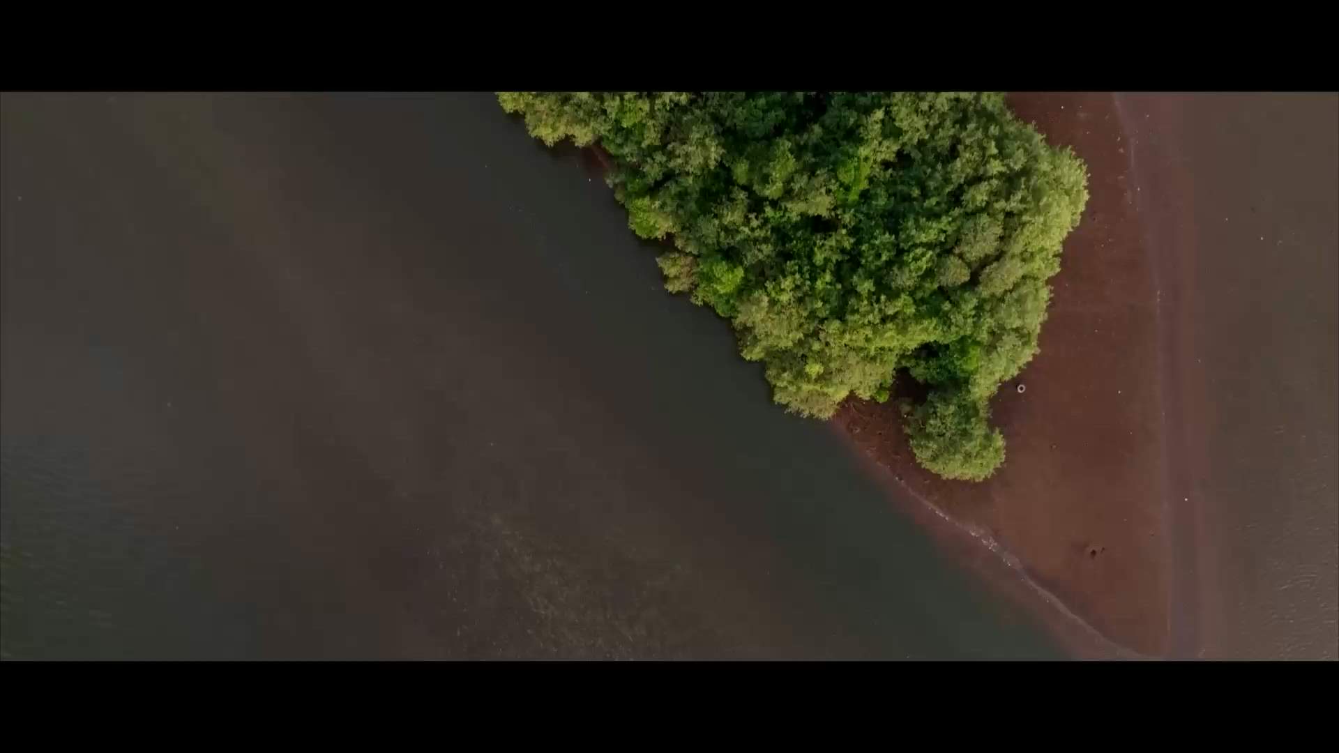 Case Study Video