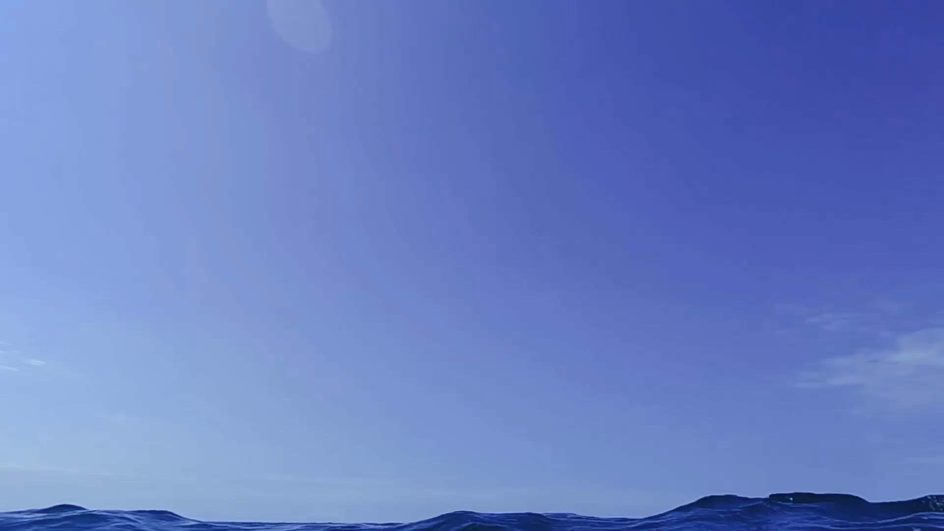 Case Study Video