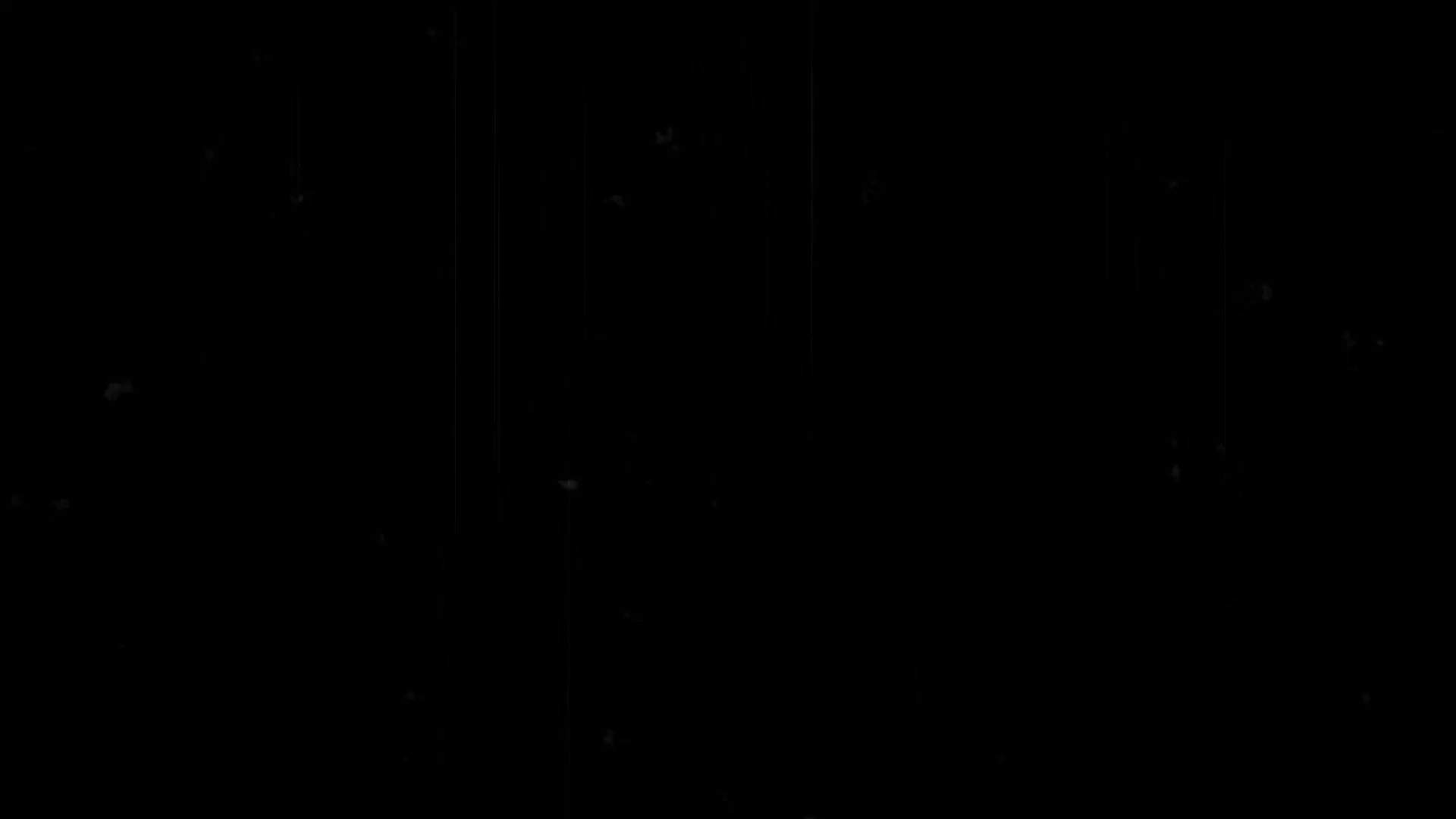 Case Study Video