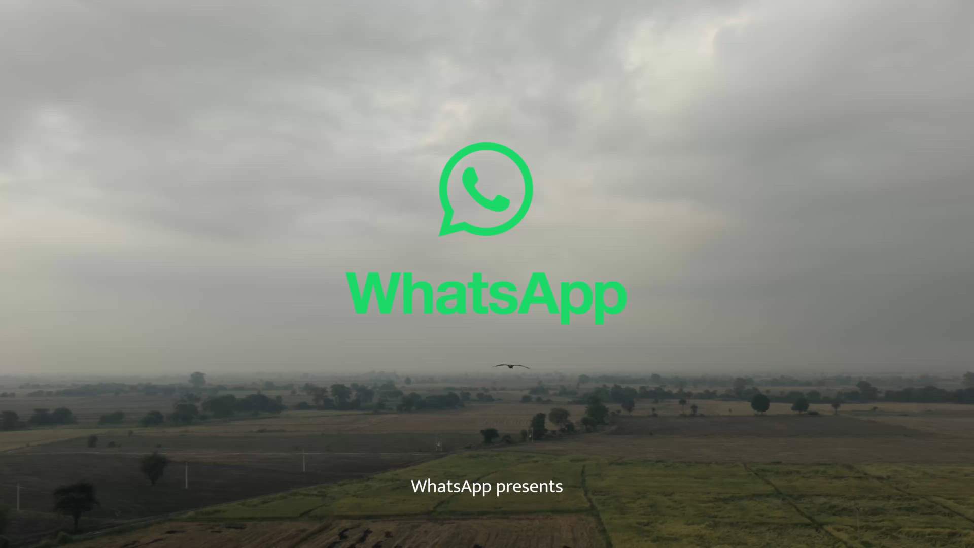 Case Study Video